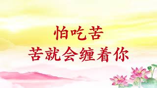 卢台长【节目录音】怕吃苦，苦就会缠着你