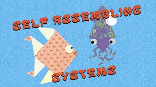 Why do fish swim in schools? Exploring Self-Assembled Systems