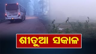 ଶୀତୁଆ ସକାଳ | Sundargarh Morning Weather | Winter has come | Odisha Reporter