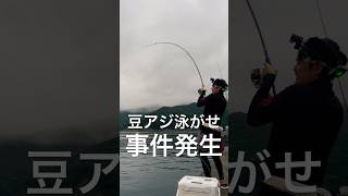 豆アジ泳がせて事件発生