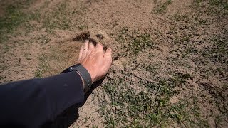 Topdressing The Lawn With Sand // Leveling the Lawn