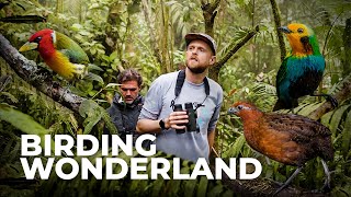 La Florida: Does Birding Get Much Better?