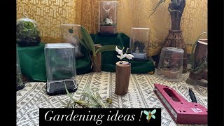 Gardening ideas #green #virallive #trending #trendinglive #live #livestream #garden #gardening #yt