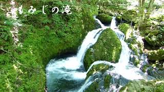 八千穂高原・飛竜の滝 もみじの滝20230727