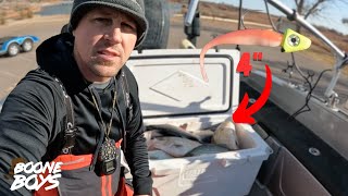 The Small Baits Did The Trick | Oklahoma Winter Deadstick Fishing