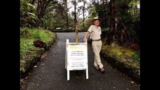 The Volunteer Experience at Hawai‘i Volcanoes National Park
