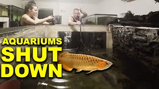 I SHUT DOWN my aquariums - The king of DIY