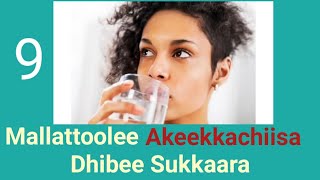 Mallattoolee dhibee sukkaaraa sagal Symptoms of diabetes