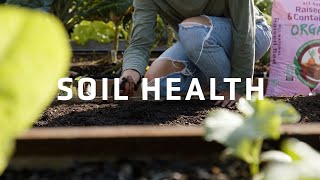 8 Methods to Check the Health of Your Soil for Organic Gardening | Soil Testing Tips