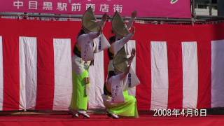 第22回 中目黒桜まつり 目黒銀座連出演 NAKAMEGURO SAKURA FESTA2008