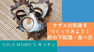 アメリカでも刺身で食べられる日本のサザエが手に入る！サザエのお刺身の作り方や肝の下処理・食べ方をお見せします。