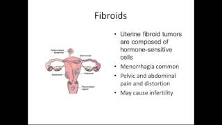OBGYN Introduction