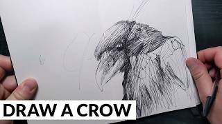 Sketching a Crow with Just a Ballpoint Pen (Step-by-Step)