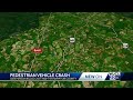 pedestrian killed in hampton county