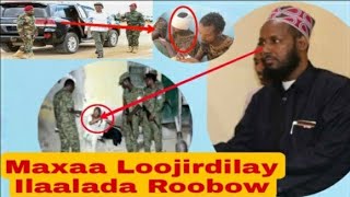 DEGDEG: Jirdilka ilaalada Rooboow,Ciidamada Laftagareen iyo Itoobiya oo Puntland...