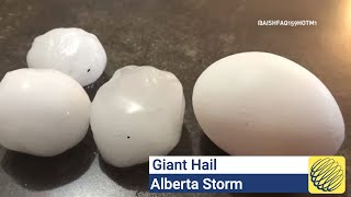 Tennis ball-sized hail in Alberta