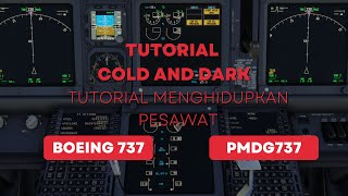 Tutorial Menghidupkan Pesawat Boeing/PMDG737 atau Cold And Dark PMDG737/Boeing 737 di MSFS 2020