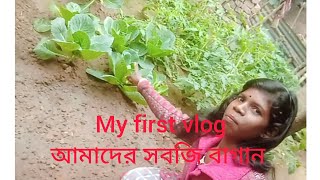 👉আমাদের সবজি বাগান #💐🌲