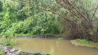 FiSHING #fishinglife #meenachil FiSHING #ruralfishing the area maali