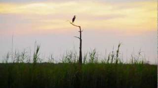 Gulf Commitment: The Waterways