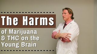 The Harms of Marijuana & THC on the Young Brain