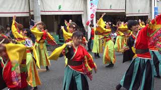 同志社大学よさこいサークル「よさ朗」（よさこい2018・8月11日菜園場）