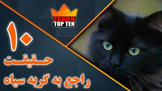 10 حقیقت راجع به گربه سیاه