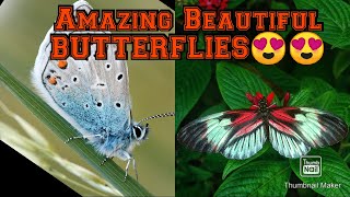 Relaxing music/THE BUTTERFLY EFFECT / Elevate your Vibration / Positive Aura Cleanse/432Hz Music/