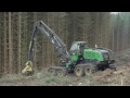 BSW Timber Group | Constantly Working For You