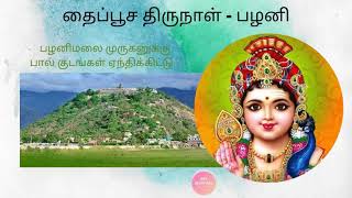 தைப்பூச திருநாள் - பழனி | Murugan Bakthi Songs  #Murugan