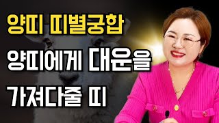 양띠 띠별궁합 🐏 양띠와 정말 잘맞는 띠와 정말 안 맞는 띠!! OO띠는 겉과 속이 다르니 주의하세요~