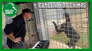 Concerts for Chimps: Deebe_Muzik