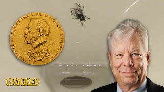 The Urinal Fly Helped an Economist Win a Nobel Prize