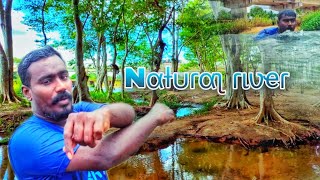 சேரன்மகாதேவி ஆறு | Cheranmakhadevi River | natural palce | Shengai sharif