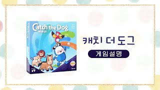 [다즐에듀] _캐치 더 도그 리뉴얼(엔트리)