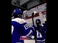 peter sadin detroit catholic central hockey goal 1 4 25