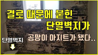 단열벽지 셀프시공 후에 나도 모르는 곰팡이가??(이보드로 다시 셀프시공)