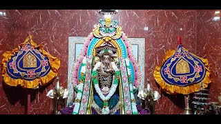 யாழ்ப்பாணம் – வண்ணை அருள்மிகு ஸ்ரீ அரசடி விநாயகர் தேவஸ்தானம் ஆறாம் திருவிழா