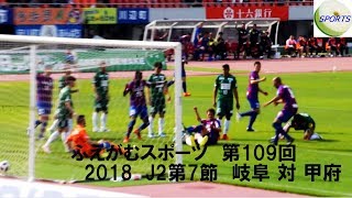 ふえがむ観戦記　2018年J2　第7節　岐阜対甲府