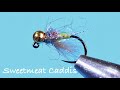 Sweetmeat Caddis Fly Tying Instructions - Tied by Charlie Craven