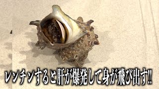 油断してるサザエをレンチンするとキモが爆発して飛び出すらしい　#shorts