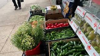 Tienda Mexicana, Ditmas Park