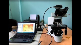 Kính hiển vi Olympus BX41 | Kính hiển vi Olympus BX43 | Olympus BX41 Microscope