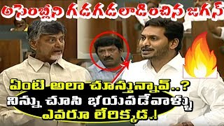 అసెంబ్లీ ని గడగడ లాడించిన  జగన్ AP CM  YS Jagan Fight With Chandrababu Naidu | YSRCP Vs TDP | PFTV