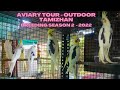 Outdoor Tamizhan Aviary Tour Breeding Season 2 of 2022 - safety in formation/protection from Rats