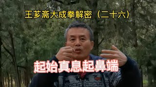 第26集/王芗斋大成拳解密：站桩如何呼吸精气