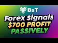 Telegram Forex Signals Doing 30% a MONTH PASSIVE INCOME