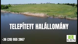 5 hektáros birtok halastóval ELADÓ!