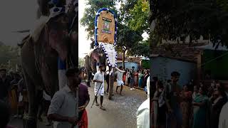 മീനാട് വിനായകൻ Meenad Vinayakan @Aduputty Perunal⛪️ #2022 #kerala #shorts #treditional #Palliperunal