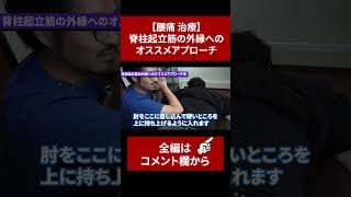 【腰痛 治療】脊柱起立筋の外縁へのオススメアプローチ【切り抜き】